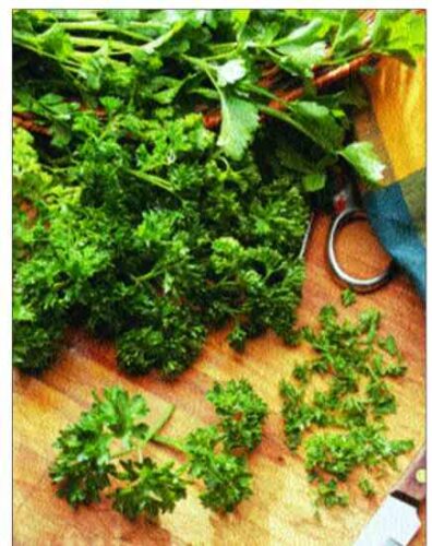 category article image